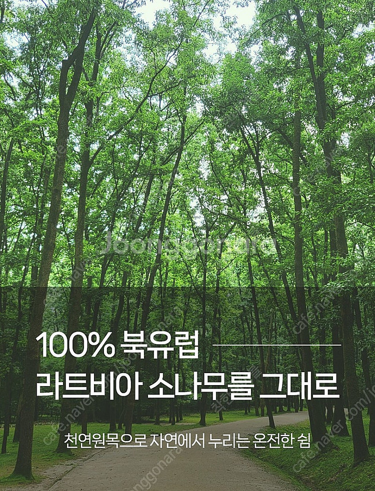 [새상품] 평상형 침대 통원목 침대프레임 소나무 저상형...--3
