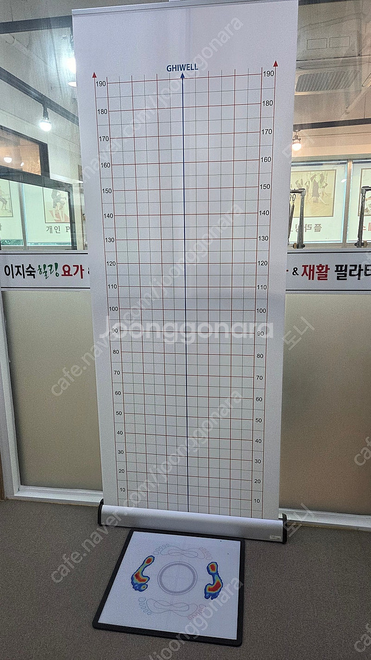 체형분석기 발란스핏 팝니다 ( 김해 )--0