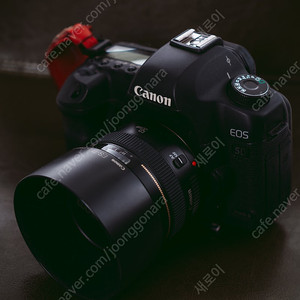 캐논 5D mark2 + 캐논 50mm f1.4 세트로 판매 합니다.