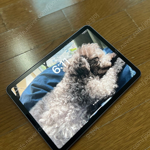 아이패드 에어 5세대 블루 64G 급하게 팝니다