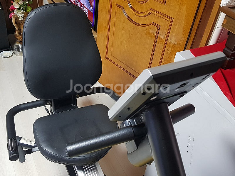 MAXTON JPL-619 좌식 사이클--2