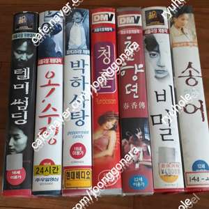 판매]비디오테입-한국영화10매일괄로만26만5천(송어,박하사탕,텔미섬팅,오수정,가족시네마,비밀등)외 89년출시 미니시리즈 브이 1-5완35만