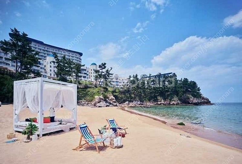 대명리조트 (삼척.양양.남해)7월 29.30.31 8월...--0