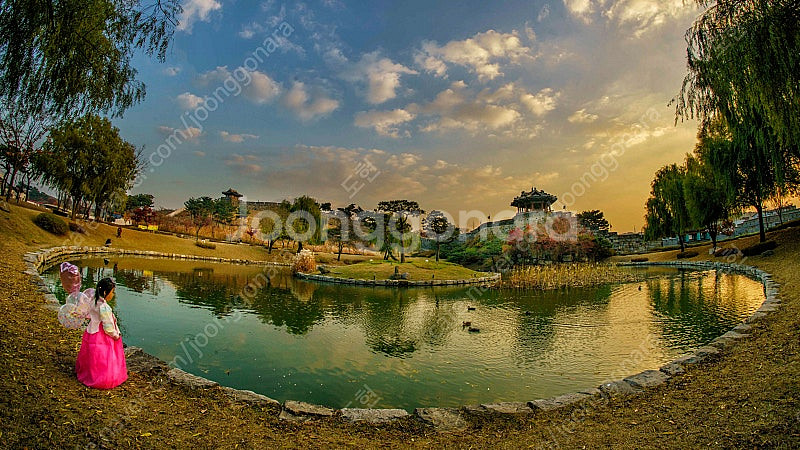 삼양 12mm F2.8 ED AS NCS FISH-EY...--5