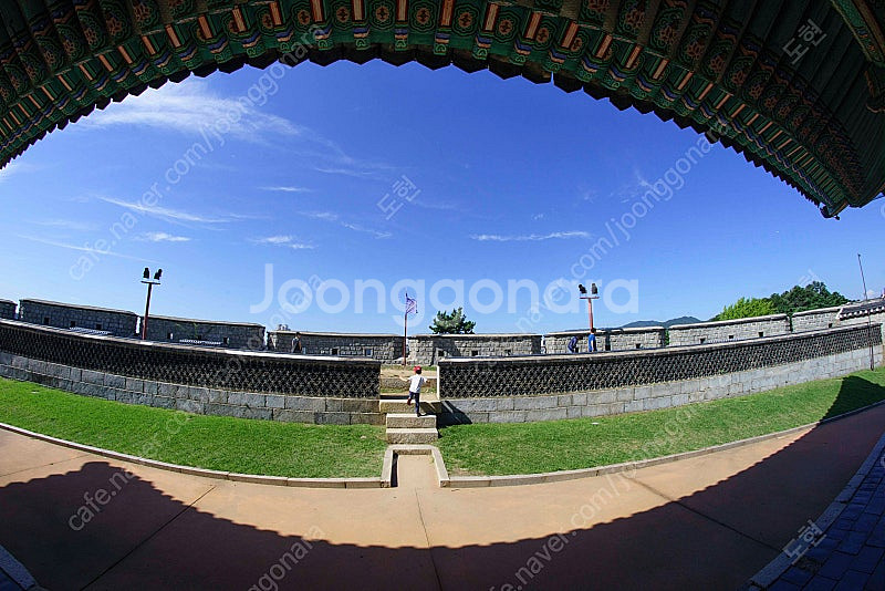 삼양 12mm F2.8 ED AS NCS FISH-EY...--6