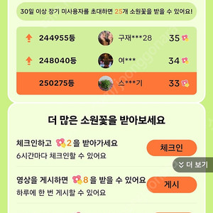 틱톡야시장 티켓