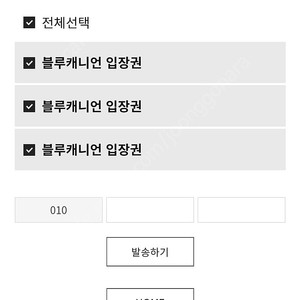 휘닉스파크 블루캐니언 워타파크3장 일괄