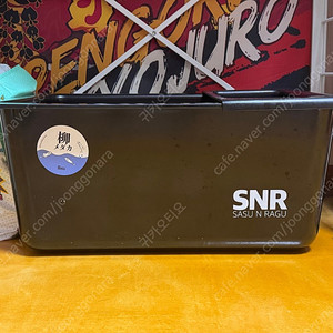 SNR 600 프라베