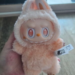 라부부정품