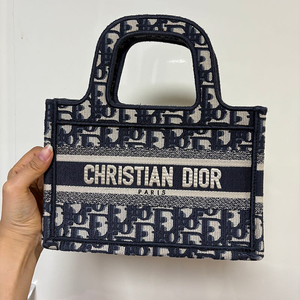 디올 북도트 미니