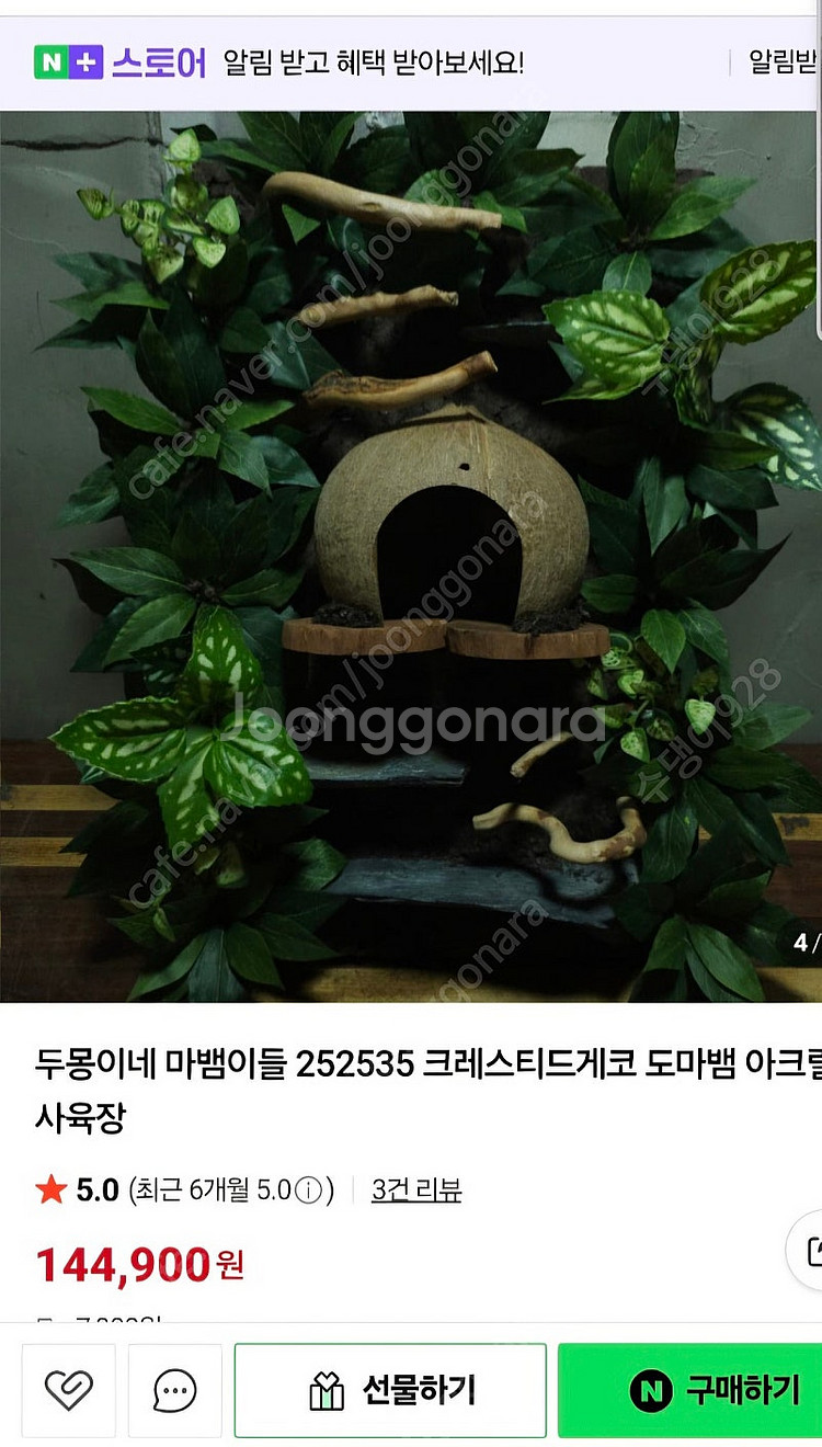 크레 사육장 백업 포함 (도마뱀 사육장 백스크린 포함)--1