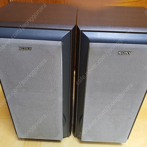 소니 Sony SS-S9 북쉘프 스피커 팝니다