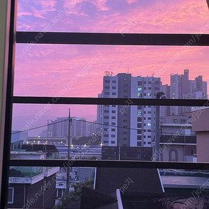 추천인X 여러개 삽니다. 누구나 가능