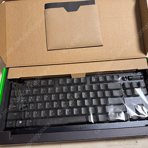 레이저 데스스토커 v2 pro TKL