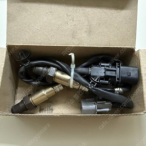 벨로스터 FS 산소센서