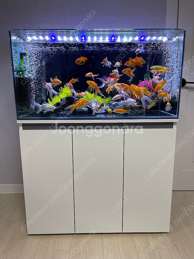 (경기 북부) 프리미엄 3자 광폭 수조 90x45x45...--0