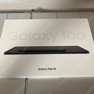 갤럭시 탭 S9 256GB wifi