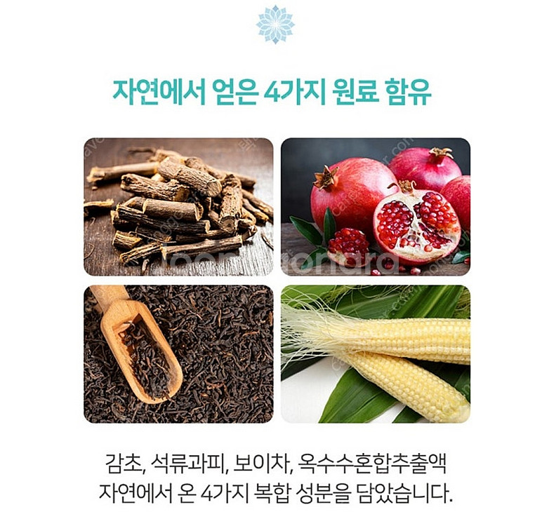 [택포]티스몬스터 대왕(왕타)칫솔 22개/ 2080 청...--5