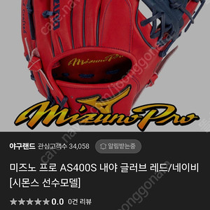 미즈노 프로시몬스 글러브