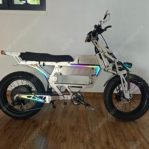 전기자전거 위페드 F1