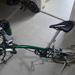 비올리 올리 레이싱그린 미니벨로 팝니다