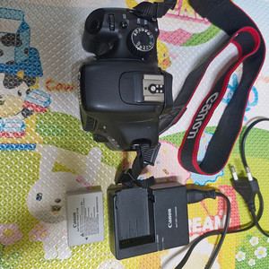 캐논 eos 550d 바디