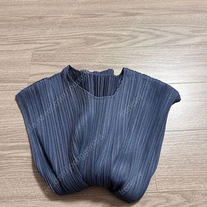 이세이미야케 플리츠플리즈