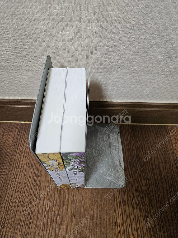로맨스소설 집착말고 이혼해주세요 2권 (소장용,완결) ...--3