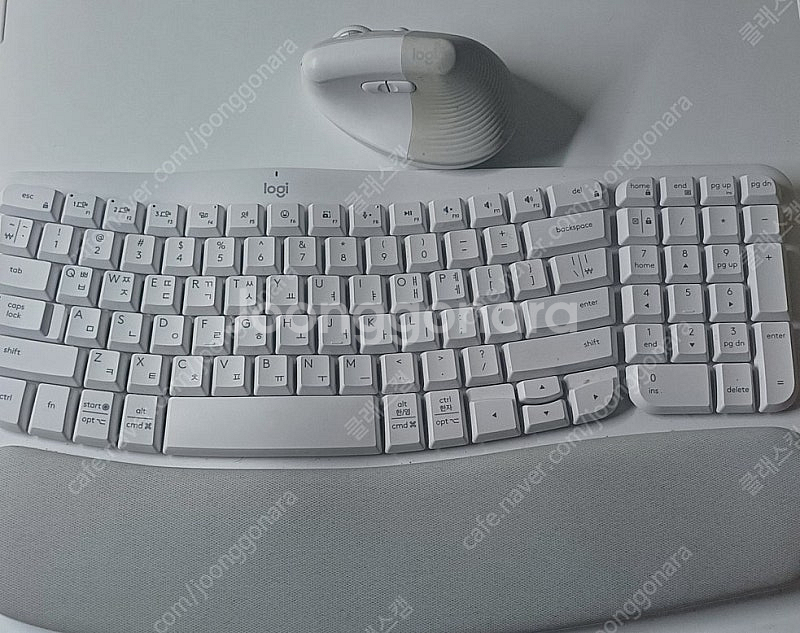 로지텍 리프트 마우스 웨이브 키보드 세트 (화이트)--0