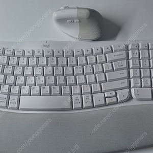 로지텍 리프트 마우스 웨이브 키보드 세트 (화이트)