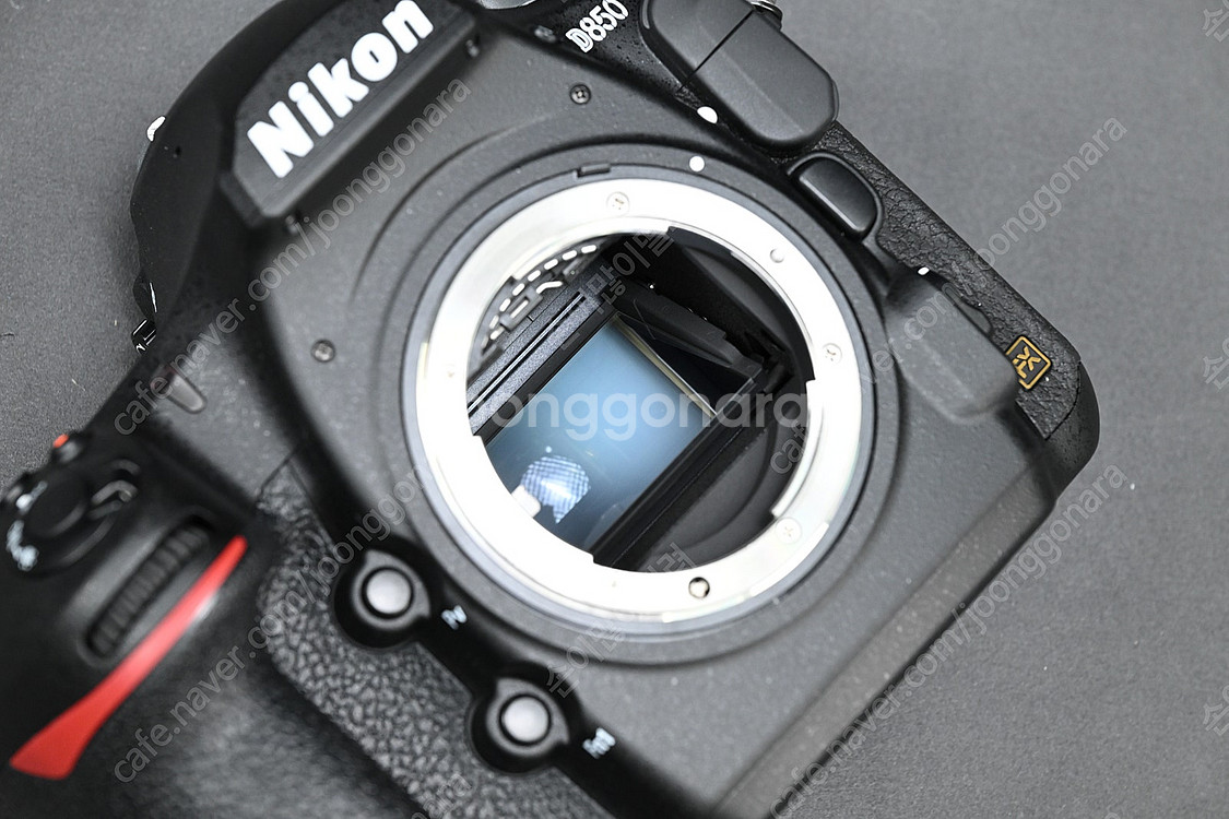[오늘만]니콘 D850 + 70200 FL ED VR ...--6