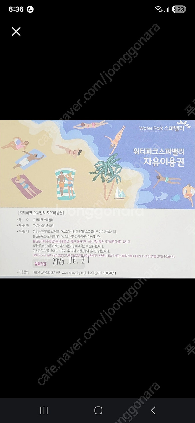 스파밸리 골드시즌 자유이용권 팝니다--0