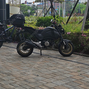 혼다 MSX 125