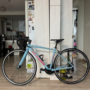 엘파마 에포카 림브 105 (xs size :155-165cm)
