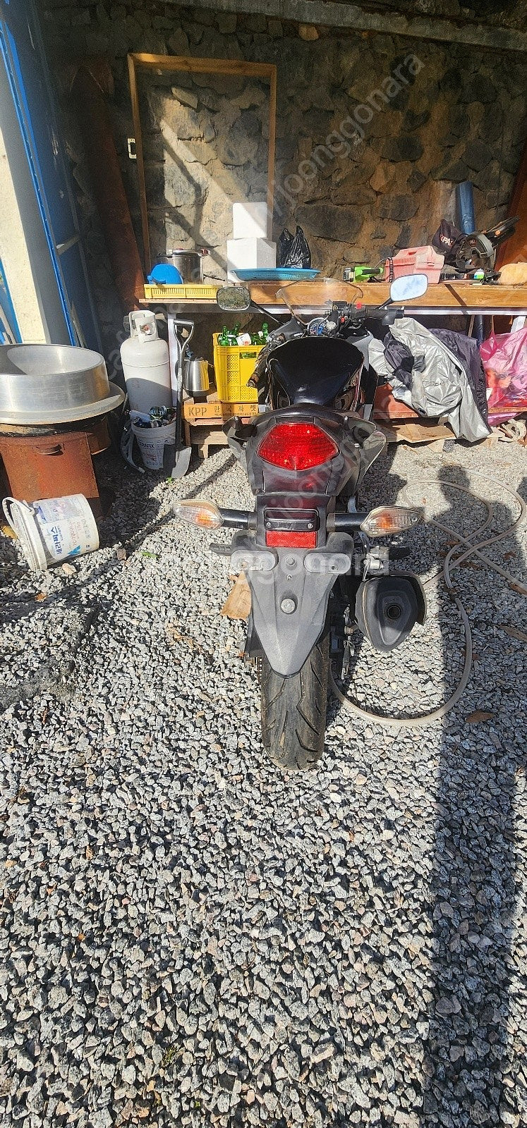 혼다 CBR250--1