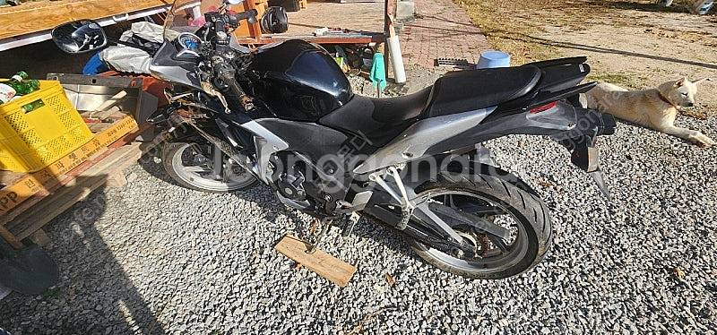혼다 CBR250--2