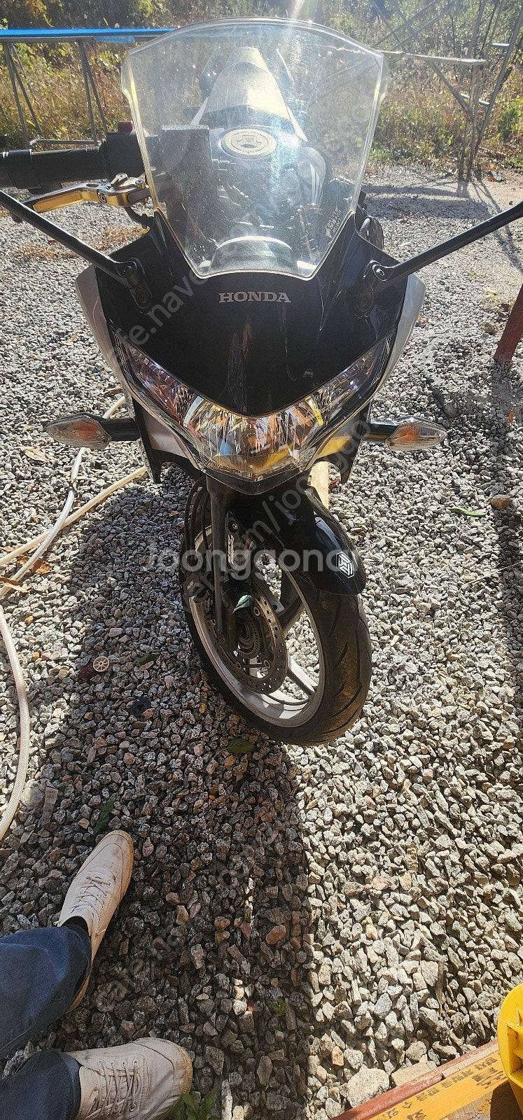 혼다 CBR250--4