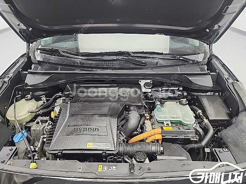 [기아]더 뉴 니로 1.6 HEV 노블레스 스페셜 중고...--5