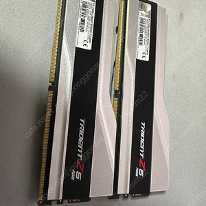 지스킬 트라이던트 DDR5-7200 CL34 실버 32GB(16x2)