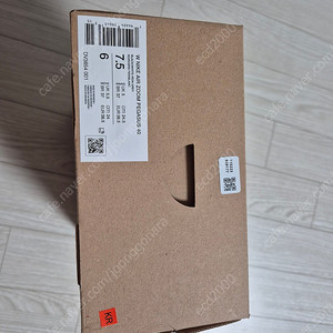 나이키 페가수스 40 245 미착용 새 제품 DV3854-001