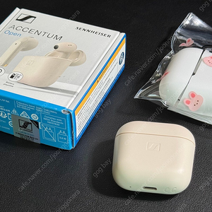 젠하이저 엑센텀 오픈 무선이어폰