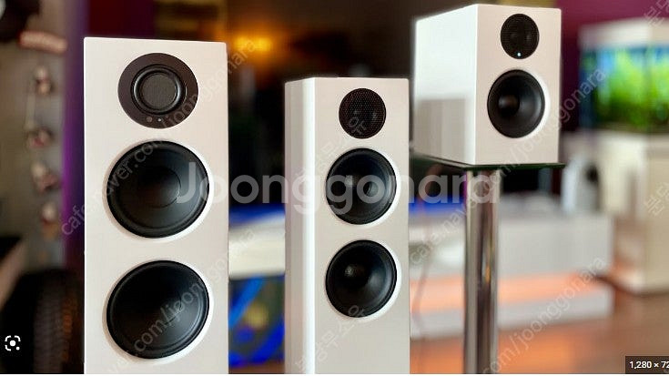 Audio Pro [오디오프로] 네트워크 블루투스 액티...--0