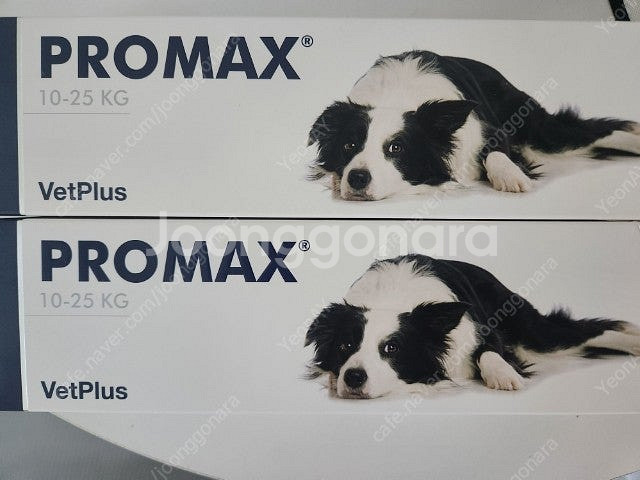 프로맥스 중형견용 10~25kg 2통 택포--0