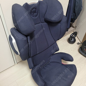 싸이백스 카스트