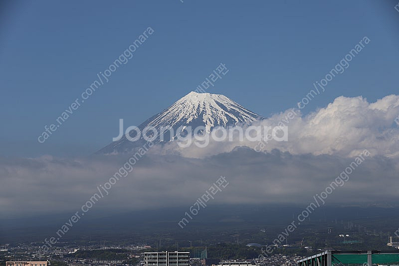캐논 6D mark2 육두막 판매합니다--3