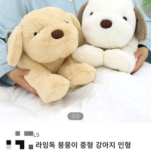 새것 대형43cm 인절미 댕댕이 선물 인절미 댕댕이 골든리트리버 인형 강아지 인형 백팩 가방