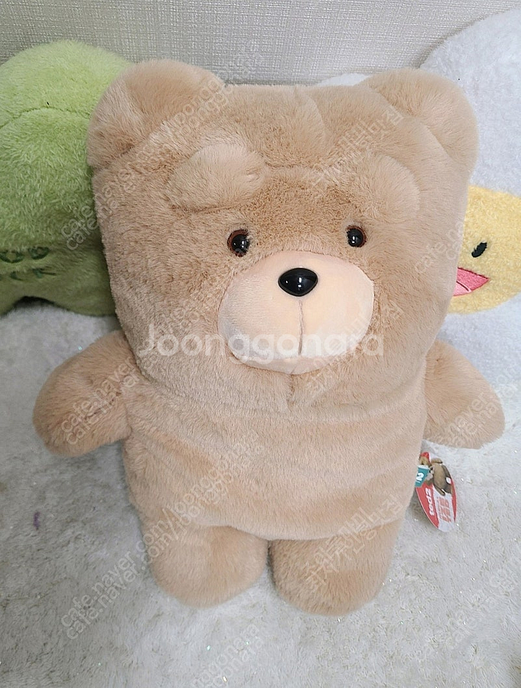 새것 인형 5000 빵빵이 케어베어 테드곰 네잎크로버 ...--5