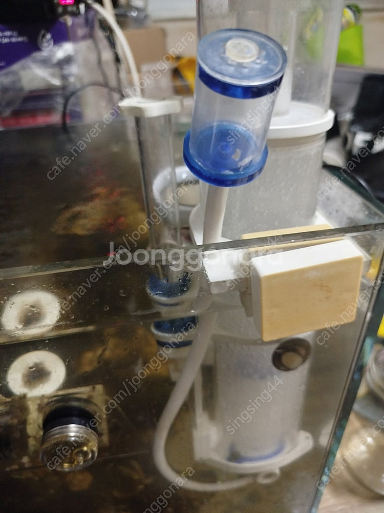 서울 아포 도징액 오펙바 거치대 마코 스키머 산소기 싱...--9