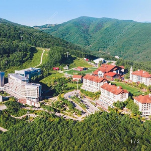 하이원워터월드/곤돌라/운탄고도케이블카/ 대소인주중주말상관없음/당일사용가능/7.8월 성수기 사용가능