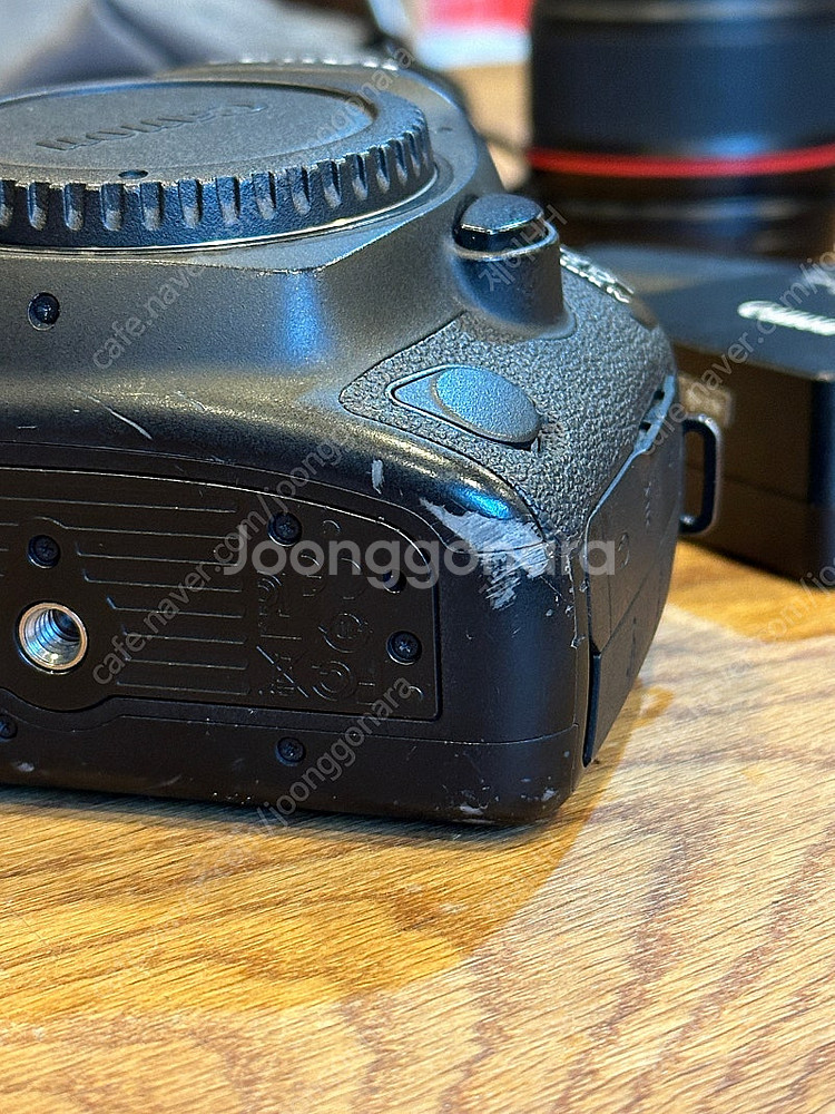 캐논 5d mark4 + 캐논 24 105 F4 ii ...--3